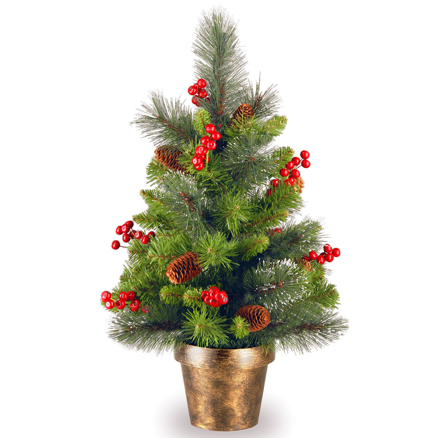 2 Foot Crestwood Spruce Small Tree: Planter