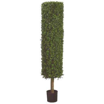 4.8 Foot Artificial Boxwood Cylinder Topiary Tree: Potted