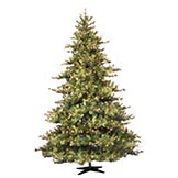 10 foot Mixed Country Pine Christmas Tree: Unlit