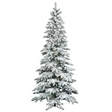 10 foot Slim Flocked Utica Fir Tree: Clear LEDs