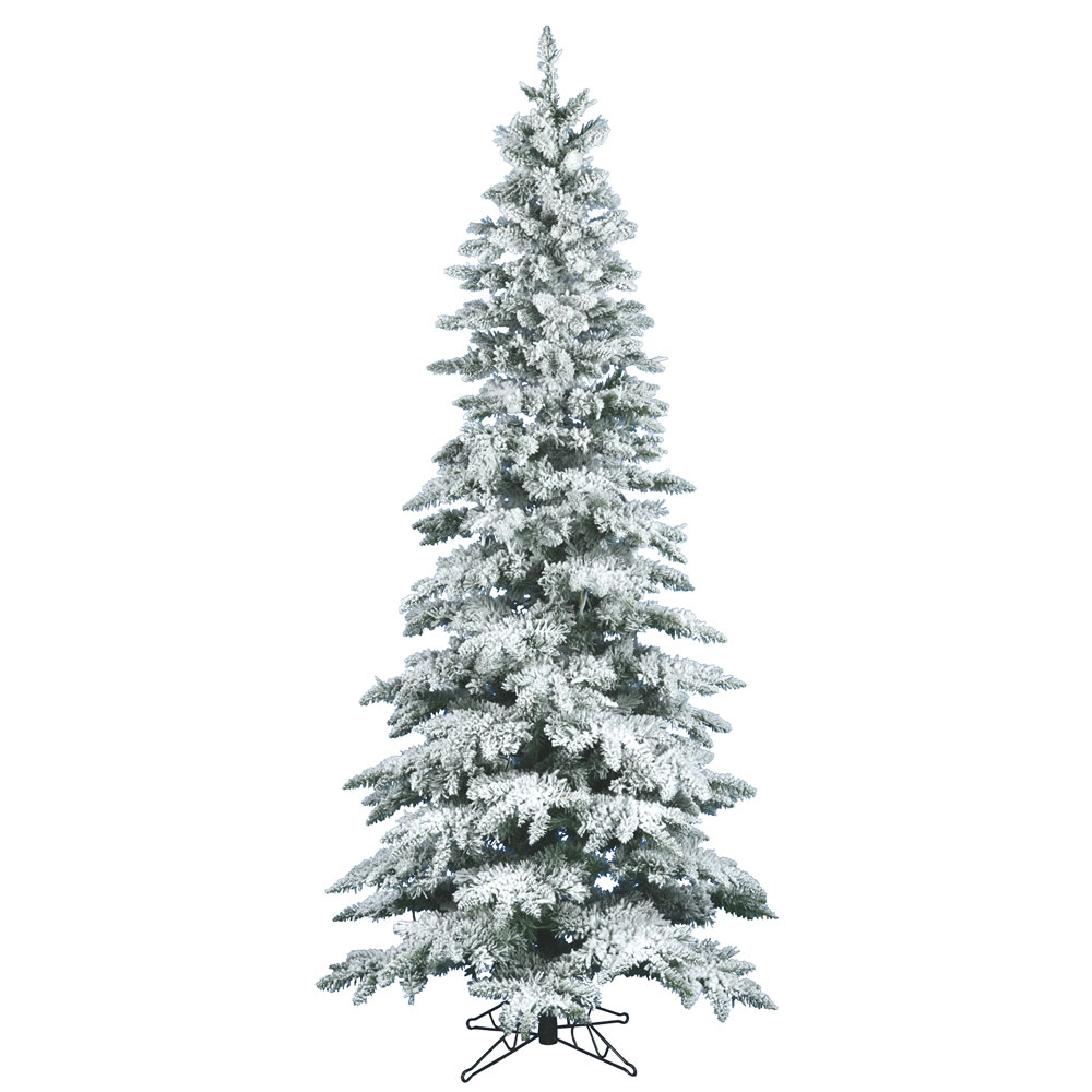 12 foot Slim Flocked Utica Fir Tree: Unlit | A895090