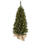 3.5 foot Felton Pine Tree in Burlap Base: Unlit