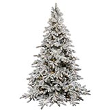 10 foot Flocked Utica Fir Tree: Clear LEDs