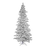 10 foot Flocked White Slim Spruce Christmas Tree: Unlit