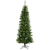 4.5 foot Salem Pencil Pine Christmas Tree: Unlit