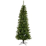 4.5 foot Salem Pencil Pine Tree: Clear LEDs