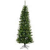 5.5 foot Salem Pencil Pine Christmas Tree: Unlit