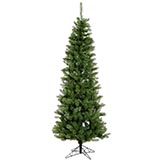 8.5 foot Salem Pencil Pine Christmas Tree: Unlit