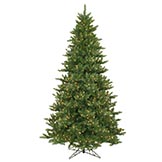 8.5 foot Camdon Fir Christmas Tree: Clear LEDs