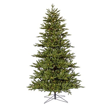 Medium Noble Fir Tree | Avamia