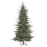 Spruce Christmas Trees