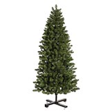 6.5 foot Slim Grand Teton Christmas Tree: Unlit