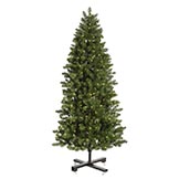 6.5 foot Slim Grand Teton Christmas Tree: Clear Lights