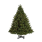 7.5 foot Full Grand Teton Christmas Tree: Clear LEDs