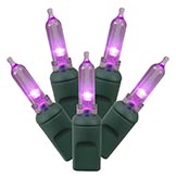 25 foot Italian LED Lights with 6 inch Spacing on Green Wire: Purple