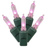 25 foot Italian LED Lights with 6 inch Spacing on Green Wire: Pink