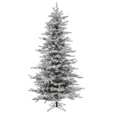 7.5 foot Flocked Slim Sierra Christmas Tree: Unlit