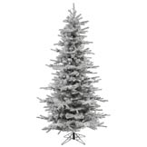 8.5 foot Flocked Slim Sierra Christmas Tree: Unlit