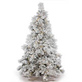 3.5 foot Alberta Flocked Tree: Clear LEDs