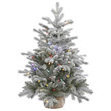 3 foot PE/PVC Frosted Sable Pine in Burlap Base: Multi-Colored LEDs