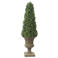 Cone Topiary