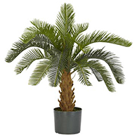 Fake cycas palm trees