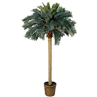 Realistic artificial Sago palm tree