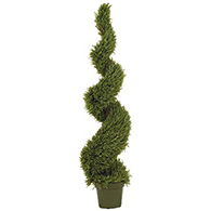 Spiral Topiary